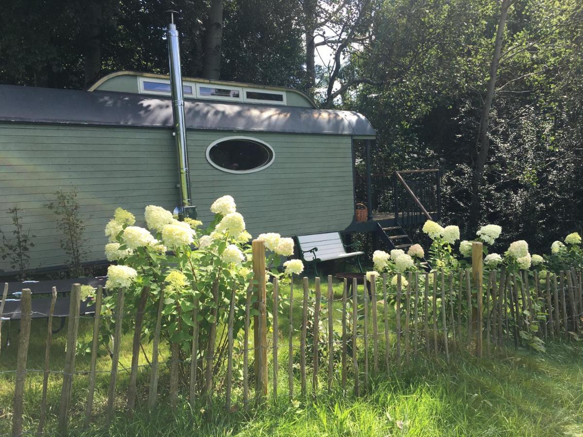 Historischer Zirkuswagen Inmitten Der Campsite